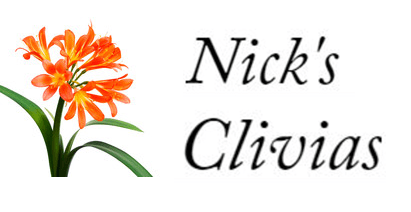 Nick's Clivias