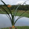 Clivia gardenii - Image 6